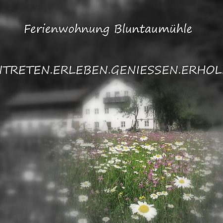 Ferienwohnung Bluntaumuehle Golling an der Salzach Quarto foto
